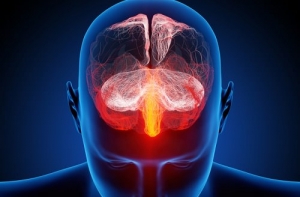 I disturbi d&rsquo;ansia e depressivi tra medicina e psicologia &ndash; Seconda parte