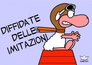 Perch&egrave; non andrei mai da un counsellor...
