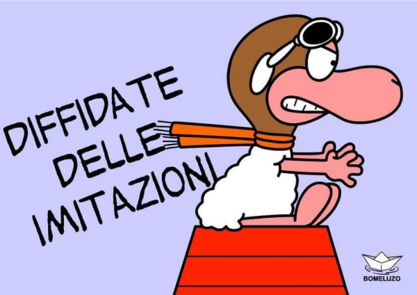 Perch&egrave; non andrei mai da un counsellor...